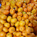 Carton Packing Yellow Sweet Baby Mandarin